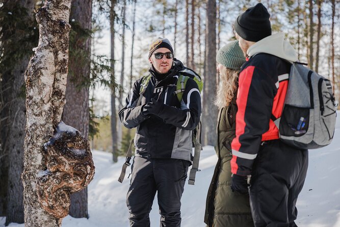 Rovaniemi - Visit to The Frozen Waterfalls of Korouoma - Korouoma Canyon and the Ice Trail: walking among frozen falls