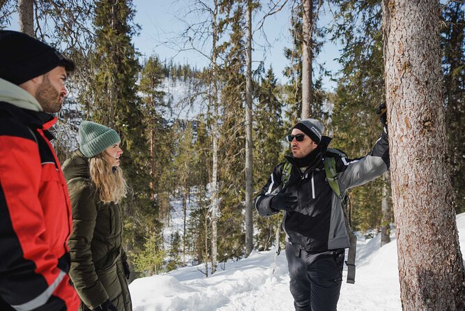Rovaniemi - Visit to The Frozen Waterfalls of Korouoma - Guides: small group energy and photo help