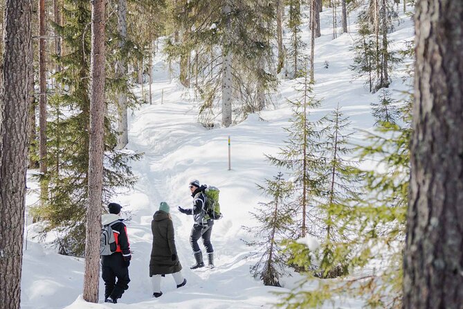 Rovaniemi - Visit to The Frozen Waterfalls of Korouoma - Price and what’s included (besides the ice)