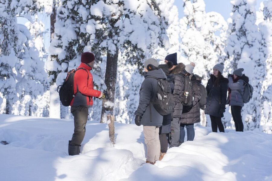 Rovaniemi: Wilderness Tour - Key moments worth planning for