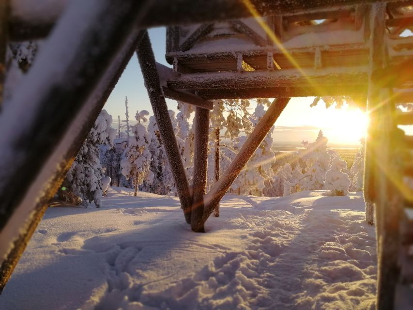 Rovaniemi: Wilderness Tour - Summer version: fairytale forests and learning how to appreciate what’s around you