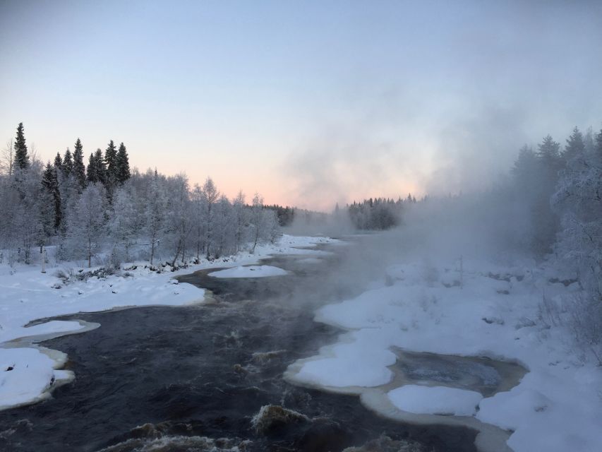 Rovaniemi: Wilderness Tour - The stop for snacks and warmth: more than just food