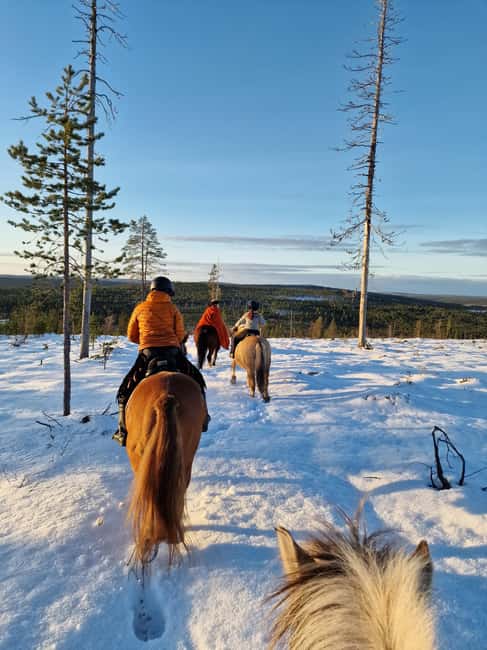 Rovaniemi: Winter Horseback Ride on Snowy Hills and Forests - Key things that make this ride worth your time