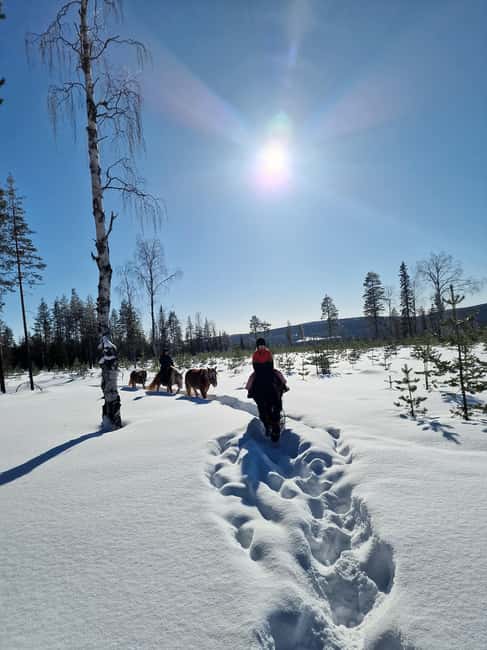 Rovaniemi: Winter Horseback Ride on Snowy Hills and Forests - Ranch Kuulas: 40 minutes north of Rovaniemi