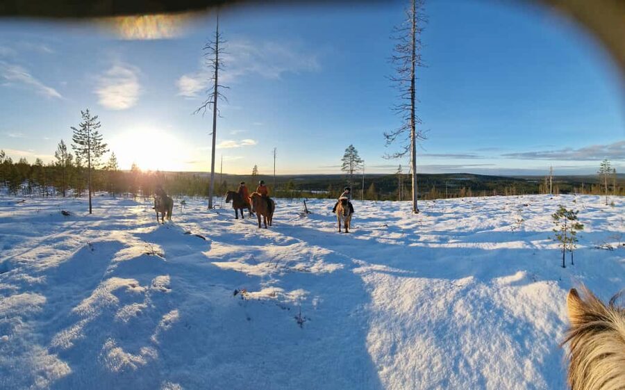 Rovaniemi: Winter Horseback Ride on Snowy Hills and Forests - One-hour horseback ride through snowy forests