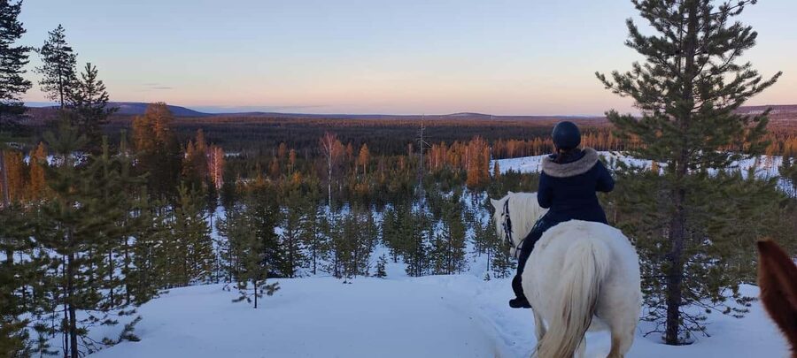 Rovaniemi: Winter Horseback Ride on Snowy Hills and Forests - The Lappish farm visit: meeting animals in quiet nature