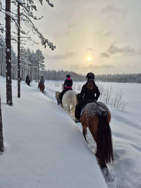 Rovaniemi: Winter Horseback Ride on Snowy Hills and Forests - Getting started: quick riding basics and helmet safety