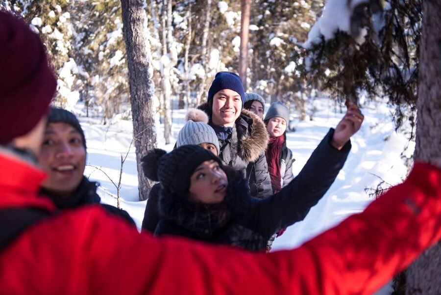 Rovaniemi: Winter Wilderness Snowshoeing Trip - The 3-Hour Format: What That Means for Your Energy and Timing