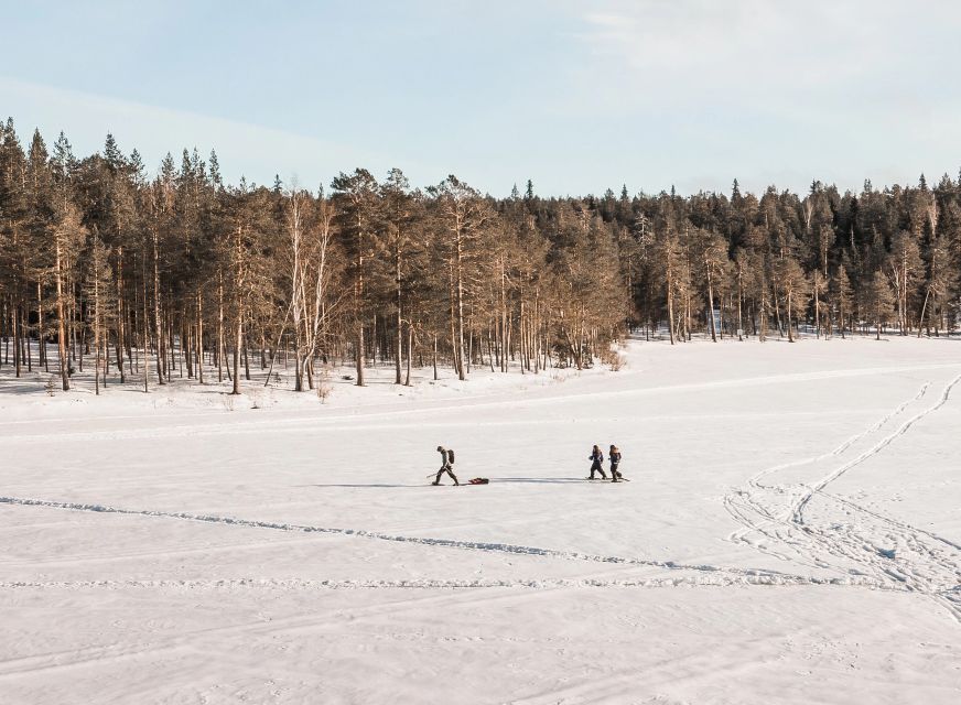 Rovaniemi: Winter Wilderness Snowshoeing Trip - Cold-Weather Reality: How to Dress and What to Expect
