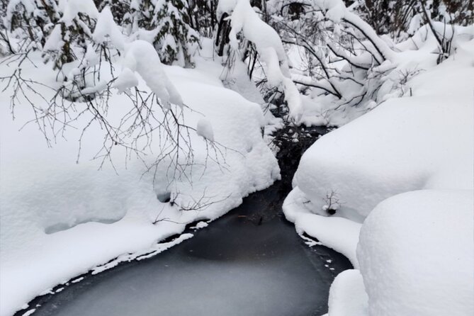 Rovaniemi: Winter Wonderland Vikaköngäs Hiking Tour & BBQ - Key things I’d plan for (from what actually happens)