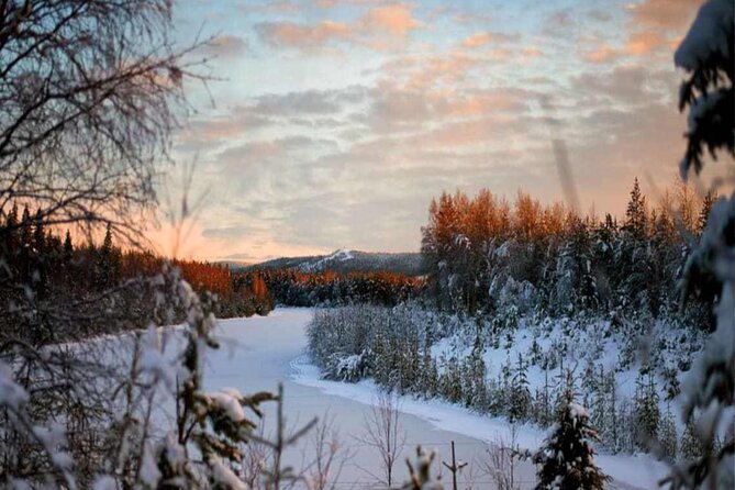 Rovaniemi: Winter Wonderland Vikaköngäs Hiking Tour & BBQ - Vikaköngäs feels like Lapland’s winter postcard, without the crowd