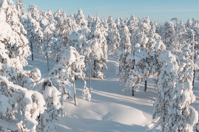 Rovaniemi: Winter Wonderland Vikaköngäs Hiking Tour & BBQ - Gear that keeps your focus on walking, not guessing