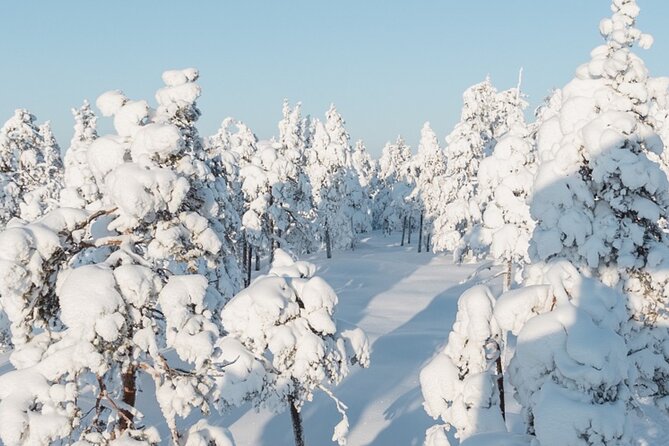 Rovaniemi: Winter Wonderland Vikaköngäs Hiking Tour & BBQ - 10:00 start and a 3-hour window that fits a winter day
