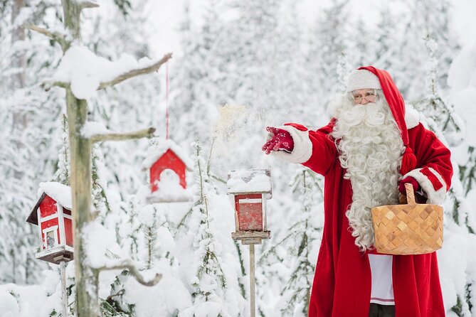 Santa Claus Combo: Visit Santa Claus Village and Santa Park in One Day - Santa Claus Village Meets SantaPark in One Tight Plan