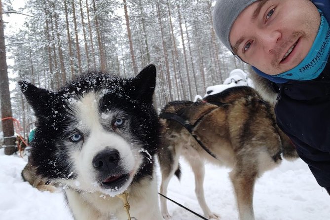 Santa Claus Village Guided Tour & Arctic Animals Adventure - The simple idea: a guided winter day, not a self-planned scramble
