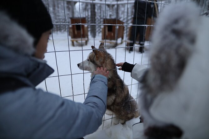 Santa Claus Village, Husky and Reindeers Combo Safari - A 4-hour Rovaniemi loop that avoids cold-weather chaos