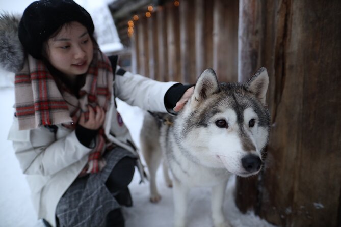 Santa Claus Village, Husky and Reindeers Combo Safari - Santa Claus Village: the Arctic Circle moment and meeting Santa