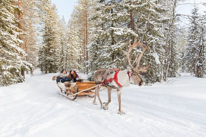 Santa's Reindeer & Husky Safari + Aurora BBQ in Rovaniemi - Evening Aurora Hunt: Two dark-sky stops instead of one gamble