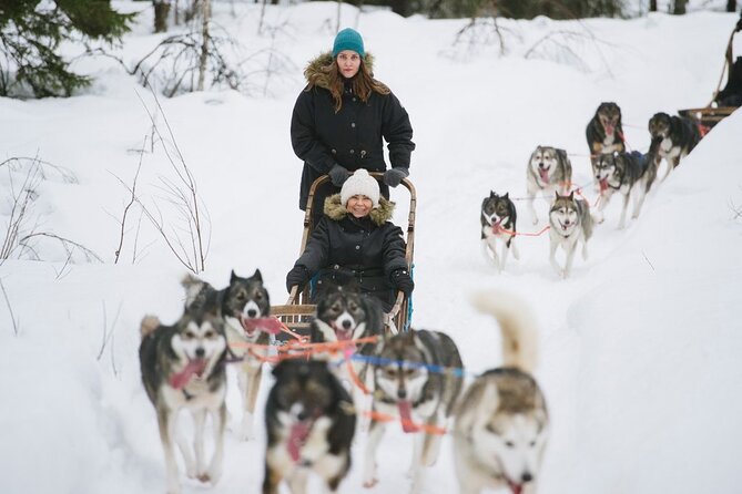 Santa's Reindeer & Husky Safari + Aurora BBQ in Rovaniemi - Transfers, timing, and group size: where value really shows