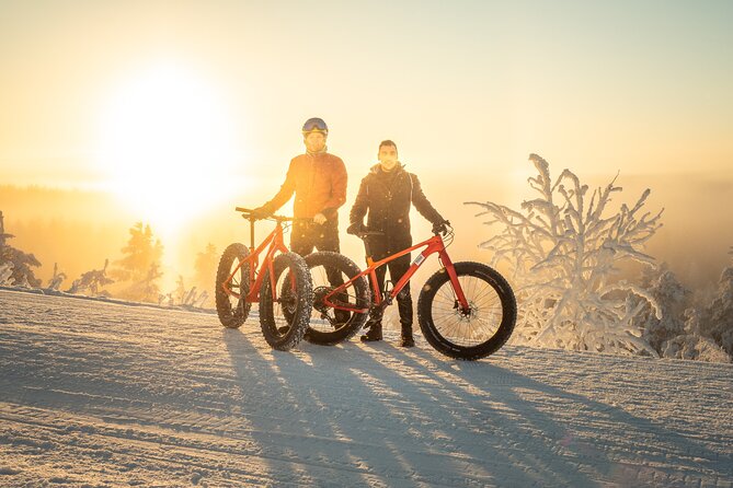 Scenic electric fat bike group ride in Rovaniemi - Key Things That Make This Ride Work So Well
