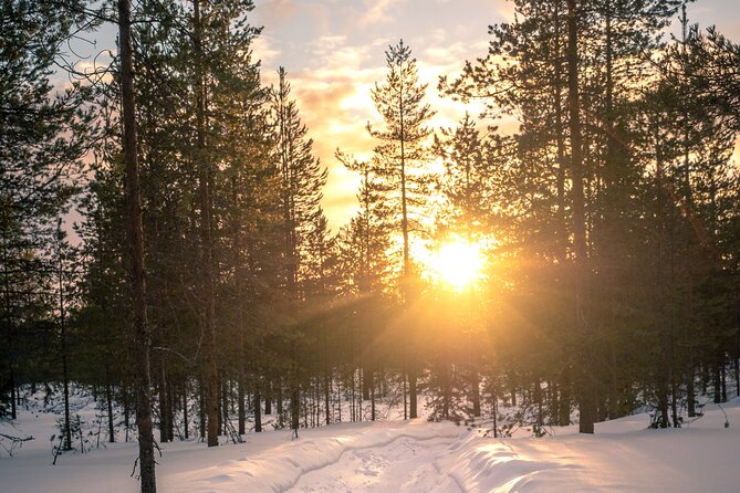 Scenic electric fat bike group ride in Rovaniemi - Ounasvaara Winter Trail: Easy Options, Real Trail Time