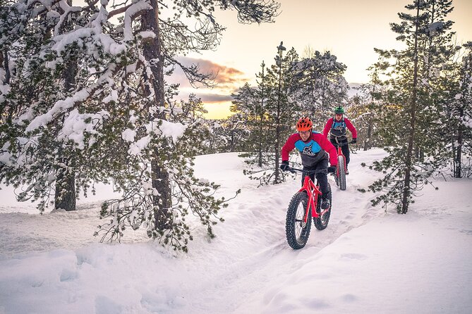 Scenic electric fat bike group ride in Rovaniemi - Who Should Book This (and Who Might Want to Think Twice)