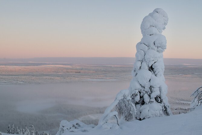 Scenic Snowshoeing on the Top of Pyhä Fell - Why Pyhä Fell Snowshoeing Works So Well in Winter