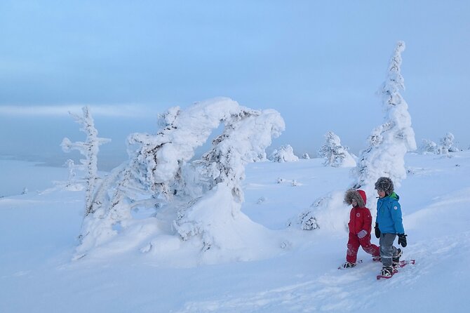 Scenic Snowshoeing on the Top of Pyhä Fell - Snowshoe Basics and Safety on the Fell
