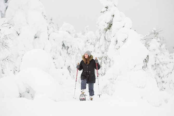Scenic Snowshoeing on the Top of Pyhä Fell - The Forest Descent: Where Fun Shows Up