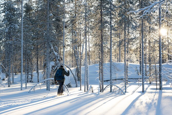 Ski Trek to the Wilderness - Extra Small group - Skiing Away From Town: What This Trek Feels Like