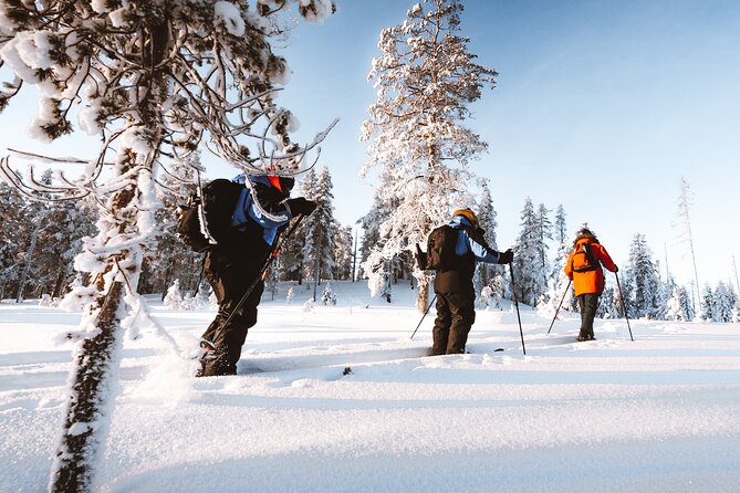 Ski Trekking Safari in Lapland - Why the included gear is a big deal (not just a checkbox)