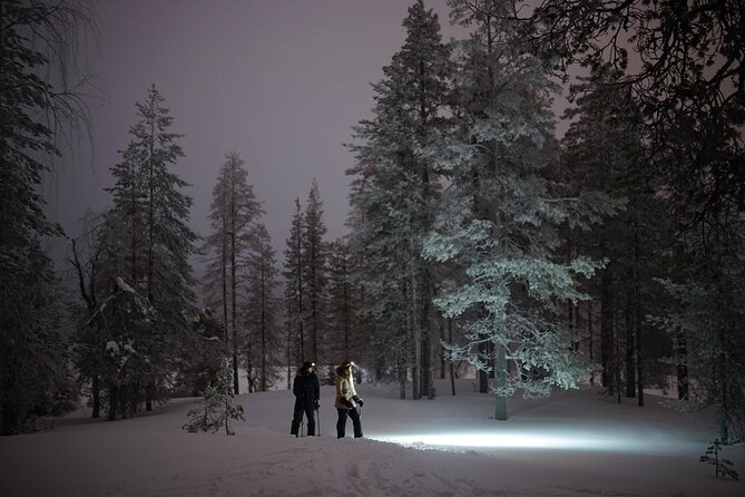 Ski Trekking under the Northern Lights - Midway campfire warmth: snack breaks that feel like part of the story