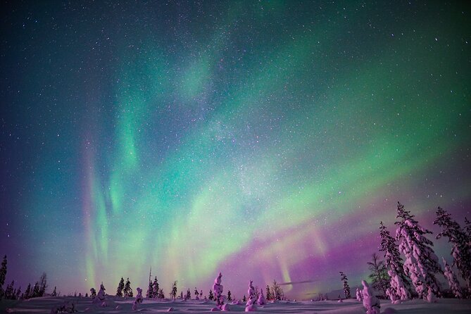 Ski Trekking under the Northern Lights - Guides You Might Meet: Linnea, Jo, and Guille