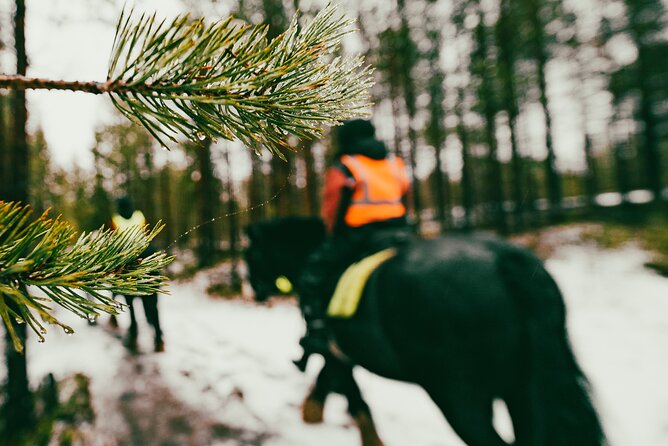 Small-Group Arctic Circle Horse Riding from Rovaniemi - Meet The Irish Cobs Outside Rovaniemi