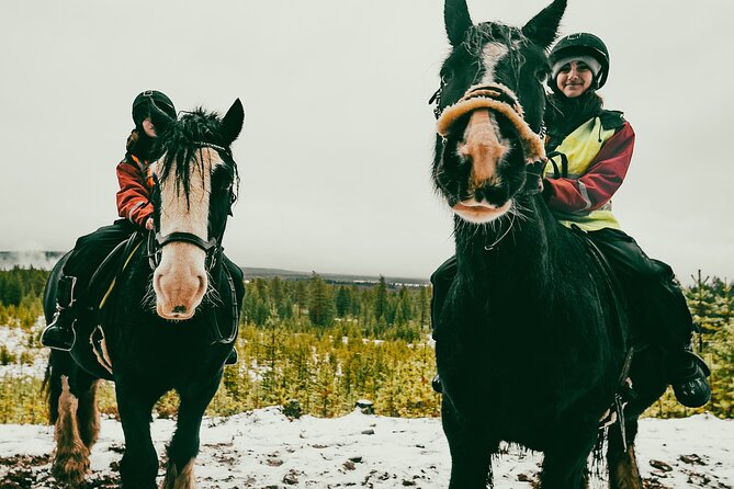Small-Group Arctic Circle Horse Riding from Rovaniemi - Forest Paths, Seasons, and the Pace That Keeps You Comfortable