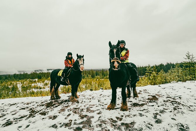 Small-Group Arctic Circle Horse Riding from Rovaniemi - Meet the Guides: Friendly Explanations and Real Farm Moments