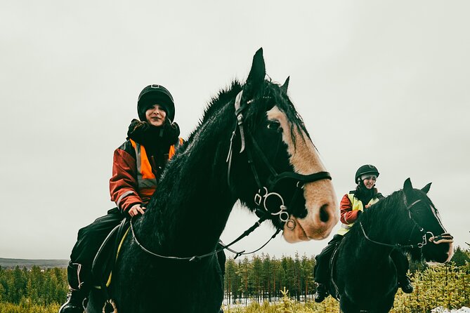 Small-Group Arctic Circle Horse Riding from Rovaniemi - What to Wear for Arctic Circle Conditions (Without Overthinking It)