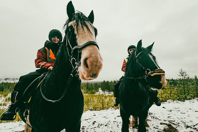 Small-Group Arctic Circle Horse Riding from Rovaniemi - Riding Limits: Who Can Join, and Who Should Rethink It