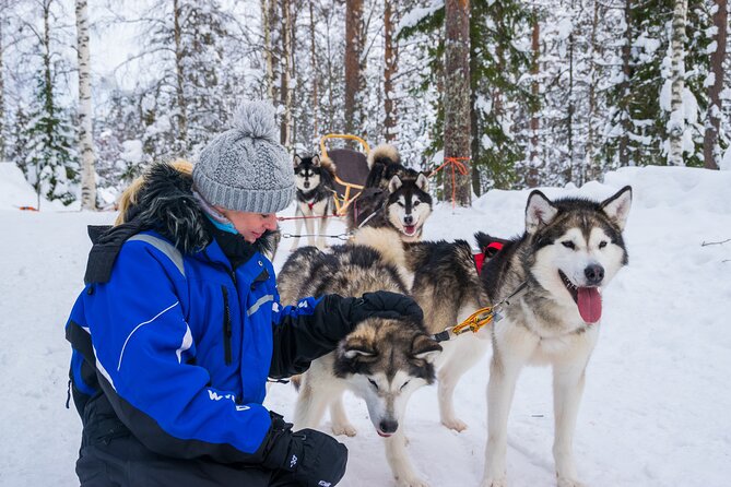 Small-Group Husky Mushing Experience in Rovaniemi - Parpalandia and the husky kennel: where your mushing starts
