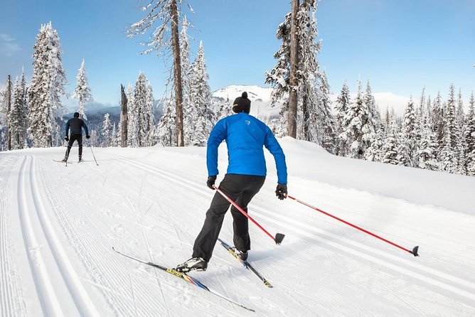 Small-Group Lapland Cross Country Ski - Key Highlights You’ll Actually Feel on the Trail