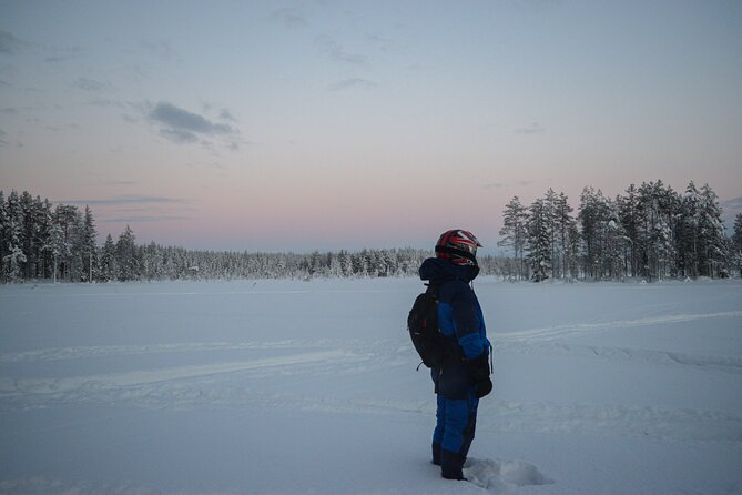 Small-Group Snowmobile Experience in Rovaniemi - Key Highlights