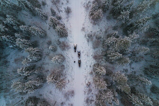 Small-Group Snowmobile Experience in Rovaniemi - Photo Stops That Actually Help Your Pictures
