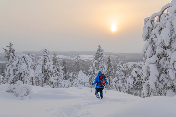 Small-Group Snowshoeing Adventure In Lapland - Rovaniemi Snowshoeing: Why This Trip Feels Different