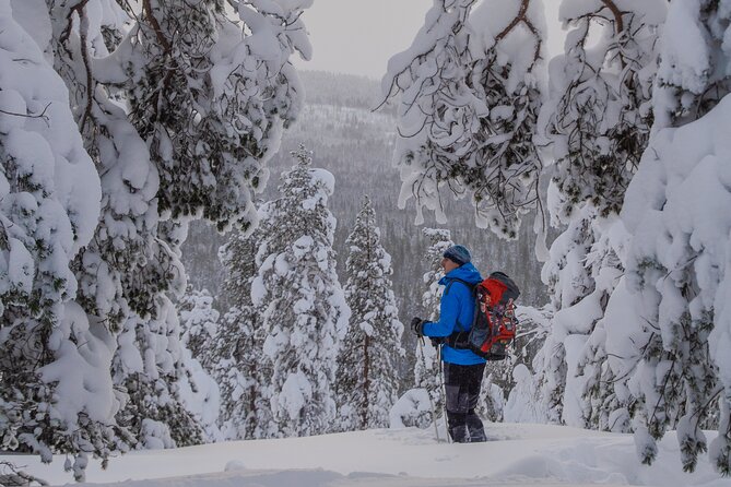 Small-Group Snowshoeing Adventure In Lapland - Guides and the Small-Group Advantage (Chris, Jeremy, Gabriel)