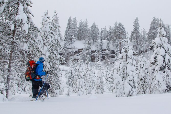 Small-Group Snowshoeing Adventure In Lapland - Weather, Timing, and the Best Way to Use the Day