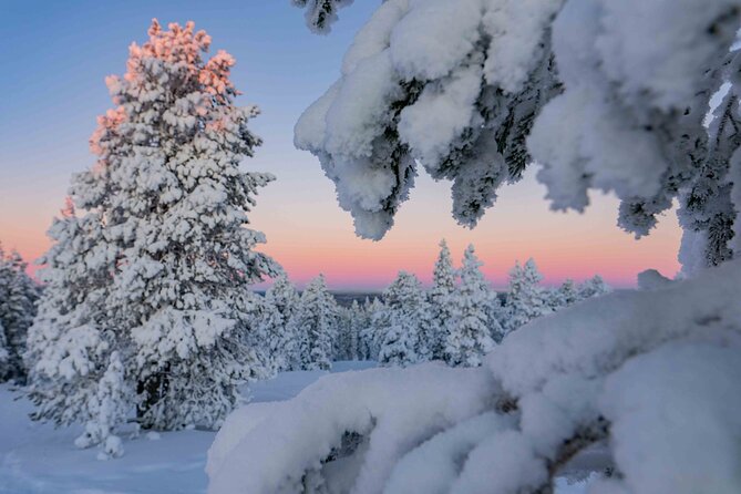 Small-Group Snowshoeing Adventure In Lapland - The 3-Hour Plan: What You’ll Do, Step by Step