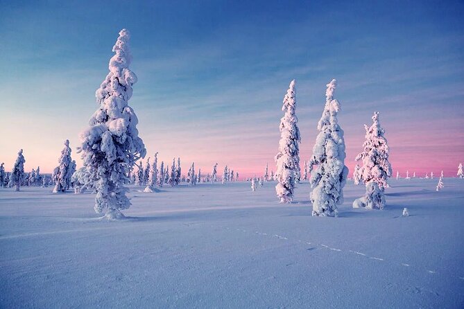 Snowmobile and Ice Fishing Experience - Lappish BBQ by the Bonfire: The Meal Is Part of the Show
