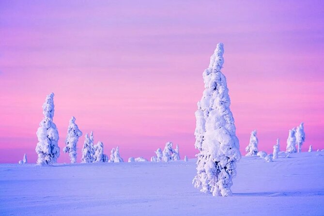 Snowmobile and Ice Fishing Experience - Price and Value Check: Is $240.15 a Fair Deal?