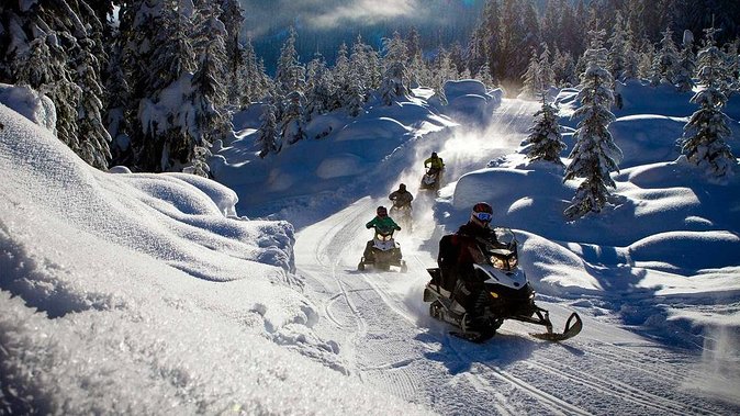 Snowmobile & Animals Day Tour - How this Snowmobile & Animals Day Tour fits Lapland dreams into 4–5 hours