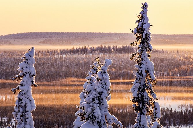 Snowmobile Driving - Morning start - First-timer instruction: why the snowmobile training is the real value